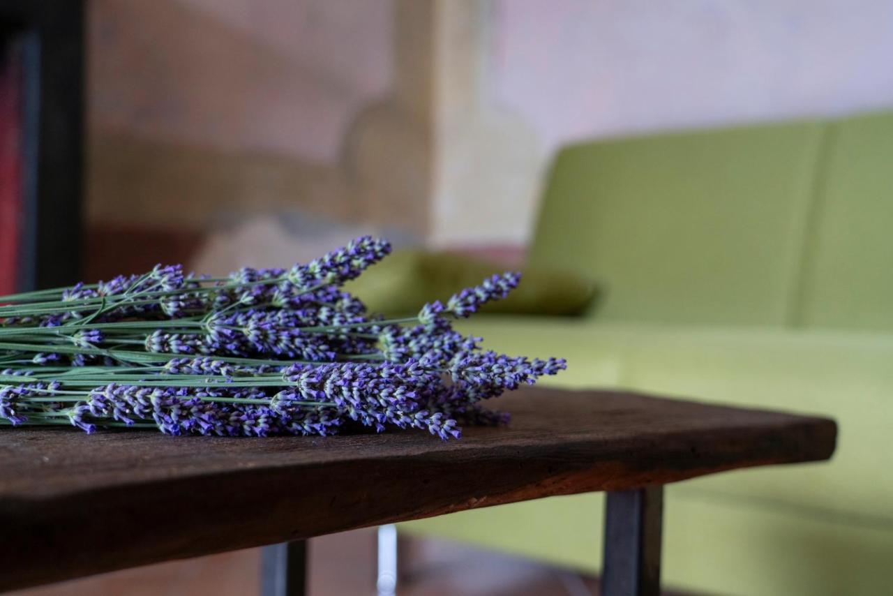 Lago Maggiore A 10 Minuti "Cascina Lavanda" Casalzuigno Exterior foto